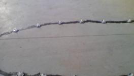 發(fā)明！自我修復混凝土，房子200年不裂！