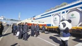 東北海運通道打開，水泥、熟料“高速運輸”直達山東！