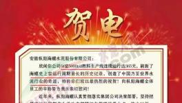 又是海螺水泥！創(chuàng)造世界水泥行業(yè)奇跡！