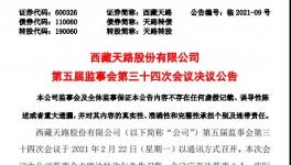 西藏天路股份有限公司高管人員任職大變動！