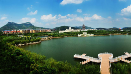 山東省棗莊市51條水泥立窯生產(chǎn)線全部關(guān)停！