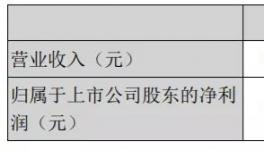 天山股份年報(bào)：2020年實(shí)現(xiàn)凈利潤15.16億元！