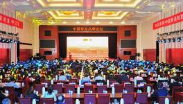 中建材在全球承接379條水泥生產(chǎn)線、市場(chǎng)占有率超過(guò)65%！