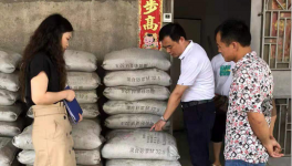 市場(chǎng)上這7個(gè)主要水泥品牌被質(zhì)量抽檢！