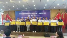 銅陵上峰:連續(xù)9年上榜“地方企業(yè)50強(qiáng)”！