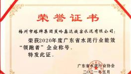 爭(zhēng)做行業(yè)能效標(biāo)桿 塔牌企業(yè)榮獲表彰!