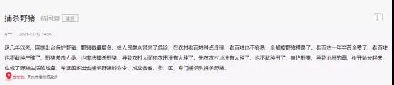 海螺突遇“棘手”問題！ 野豬集體來“做客”！