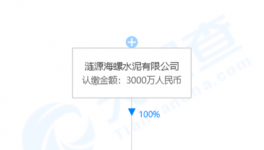 加速收購(gòu)！海螺水泥在下一盤大棋！