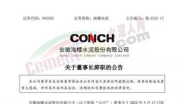 海螺水泥公告：王誠(chéng)不再擔(dān)任公司法定代表人！