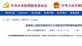 突發(fā)！海螺原董事長(zhǎng)被查！