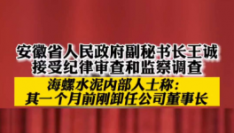 立案！海螺、華新、華潤(rùn)等多位高管被查！