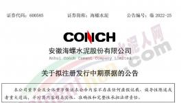 海螺水泥擬發(fā)行不超100億票據(jù)！