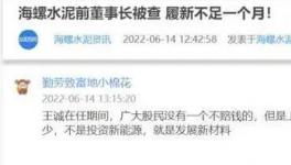 海螺蒸發(fā)1300億，逾700億元投資或存變數(shù)！