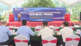 ?總投資額4775萬元！華潤水泥光伏項(xiàng)目開工?！