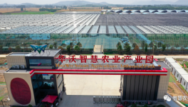 巧用水泥余熱，工業(yè)轉(zhuǎn)型反哺農(nóng)業(yè)！