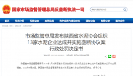 陜西水泥協(xié)會(huì)及13家水泥企業(yè)被罰4.51億！