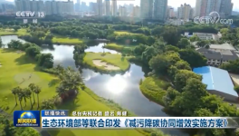 環(huán)保政策加嚴(yán)！氨逃逸不超標(biāo)這些企業(yè)做到了！