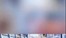 殺公雞！開窯！水泥廠“辟邪”！