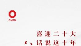 喜迎二十大:話說這十年，專業(yè)化整合深入推進(jìn) 產(chǎn)業(yè)布局不斷優(yōu)化