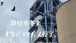 全停！最長200天！20個省水泥廠停產(chǎn)！