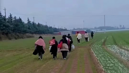 反撲！多省工地停工！水泥廠停發(fā)！商混站“告急”！