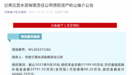 公告！多家水泥廠被賣！