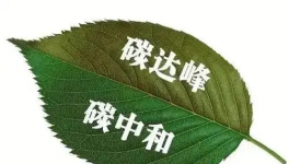 縫出匠心！這家環(huán)保企業(yè)脫穎而出！市場占有率名列前茅！