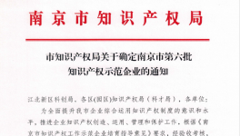 喜報(bào)！南京永能新材料有限公司獲選南京市知識(shí)產(chǎn)權(quán)示范企業(yè)！