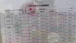 工資曝光！村長(zhǎng)“秒殺”水泥廠高管！