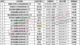 瘋狂！“上下”通吃！海螺連續(xù)成立50多家公司！