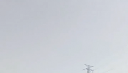 太慘！210元/噸低價(jià)水泥“傾銷”！停產(chǎn)來“救市”！