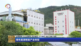 海螺水泥兩家工廠同一天都上電視啦！
